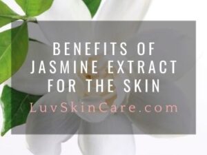 Benefits of Jasmine Extract for the Skin