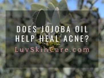 Does Jojoba Oil Help Heal Acne?
